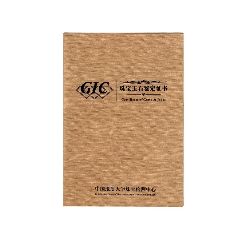 IMG_1408(20240425-202455)