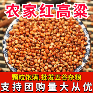 ��Ƥ�t�������l ���l �¼t�����t������ȥ��ճ����ᄾƌ������