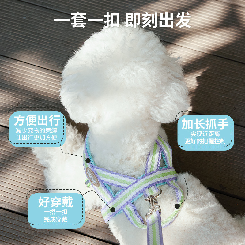 Fresco de verano perro transpirable corda de tracción ajustable perro pequeño y mediano Teddy Bear Corky explosión pecho y espalda