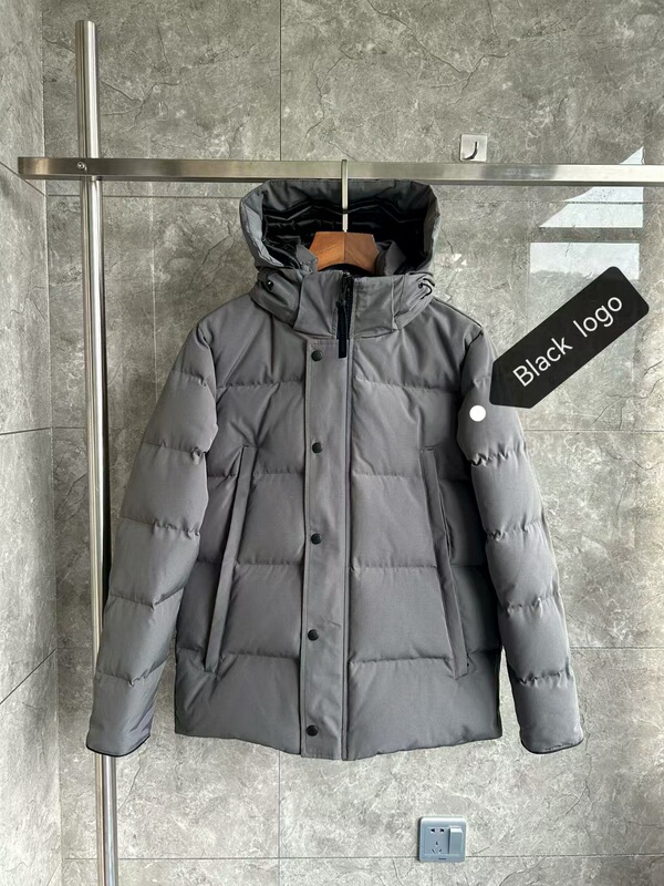 BiggoosedownjacketWyndham2048新款温德姆羽绒服29款加厚冬季款|undefined