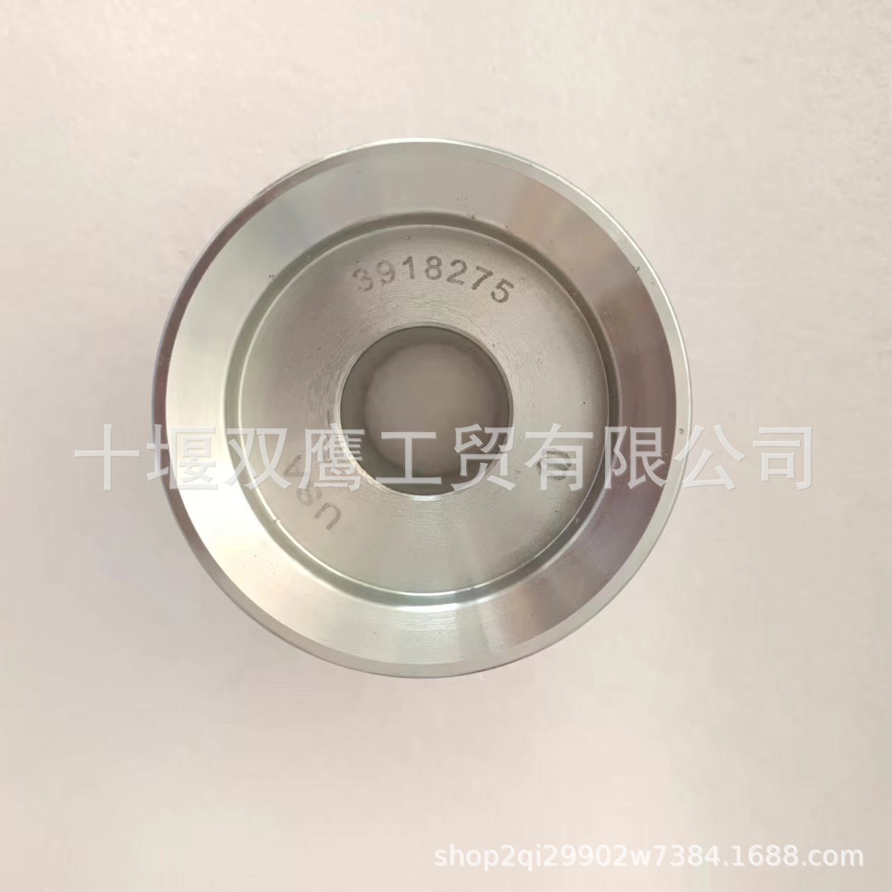 3918275皮带轮 (1)
