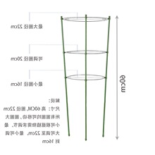 爬藤架子花支架月季花架植物盆室内花卉支撑杆园艺铁线莲攀爬架杆