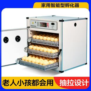 ����������С�ͼ���ȫ�Ԅӷ����CС�u�W�^�������B�����Sֱ�N