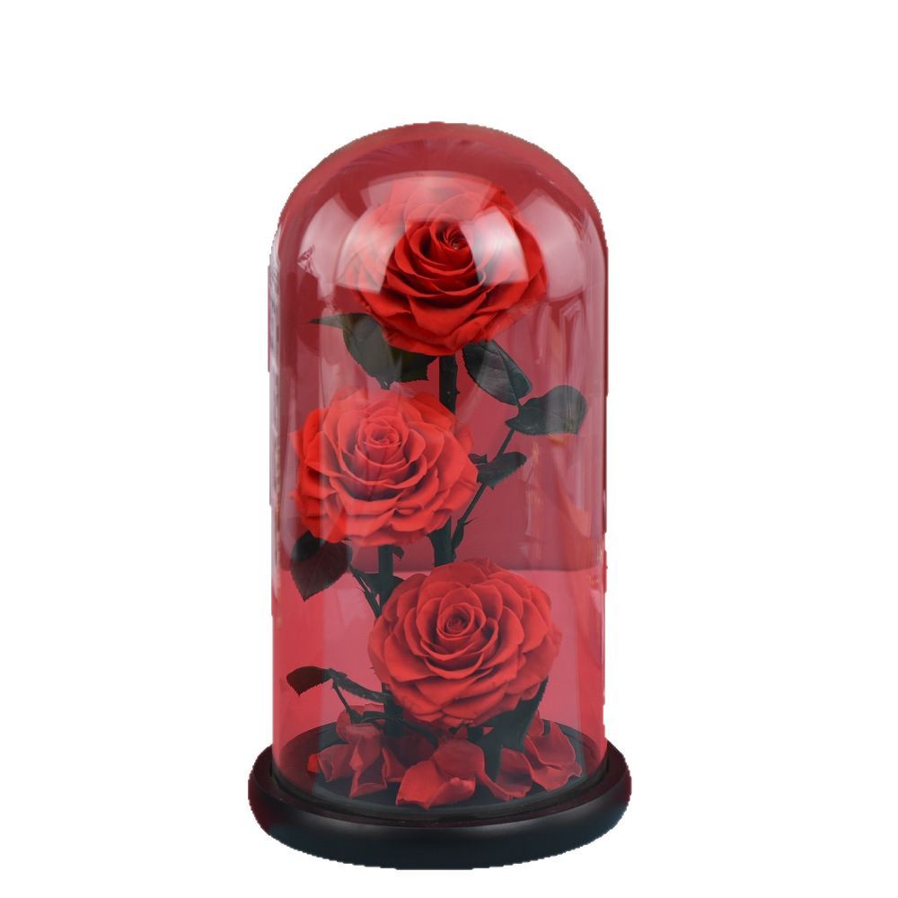 FUENTE Precio al por mayor de fábrica regalo creativo transfronterizo Día de San Valentín Príncipe de Navidad Flor Eterna Rosa cubierta de vidrio