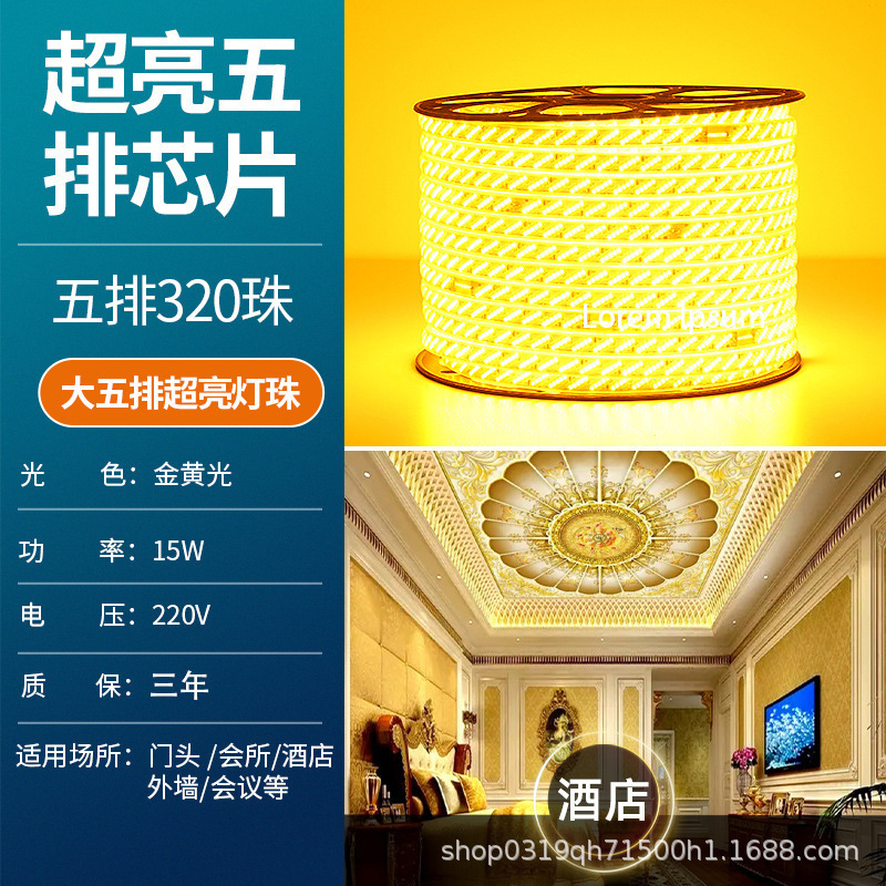 家用户外防水led灯带条超高亮白光灯带室外外墙工地隧道照明220V|undefined