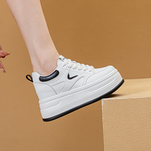 2025���İٴ��@���¿�͎��¸�9���׃��������e���С��ЬŮ��Ь