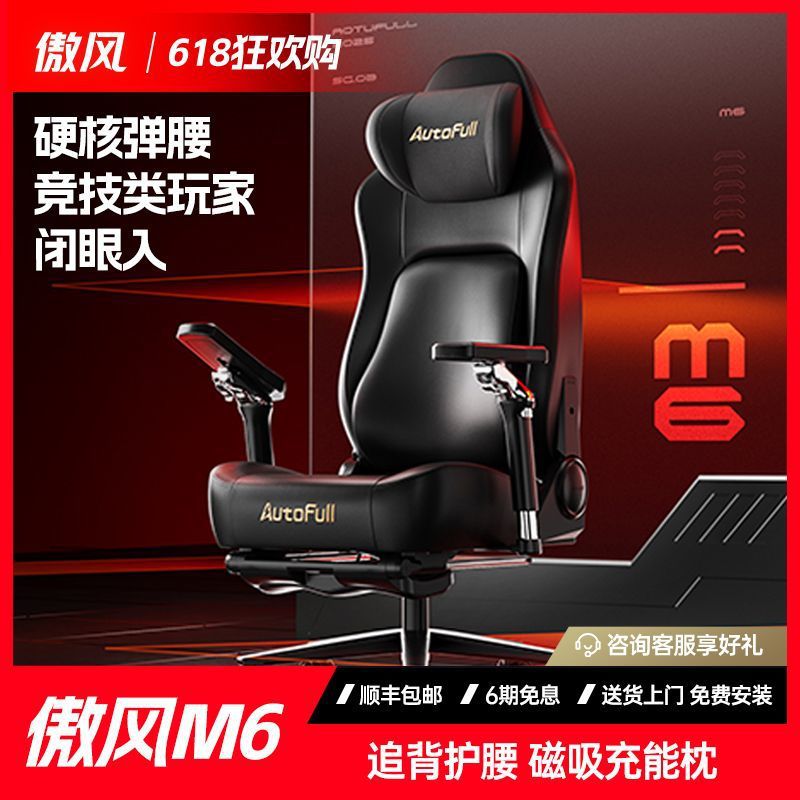 Aofeng M6 Gaming Chair Ergonomic Chair Computer Chair Office Chair Waist Support Gaming Chair