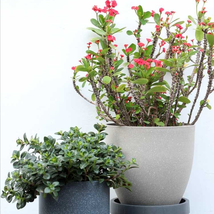 Matte durable plastic flowerpot