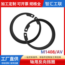 F؛lM1408/AVSÏԓȦȿC͓Ȧ_ڿh