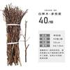 White birch tree rude wood rod landscape tree dead tree tree tree 杈 kindergarten DIY handmade material wall partition decoration