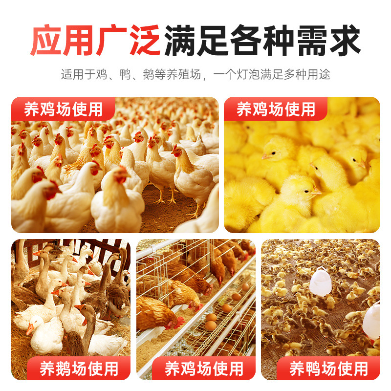 Bombilla LED de luz cálida, súper brillante, casquillo E27/E14, ahorro de energía, luz amarilla, iluminación interior para el hogar, bombilla para granja