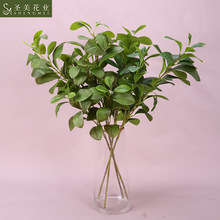 3D��ӡ������涹���~�Ř��~�ָ��zƬ���~�ӼҾӻ�c�廨�b��~