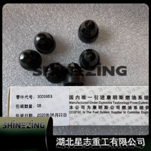 3005963��ȼ�CK19 KTA19 QSK19�l�әC�����������F�α�3005963