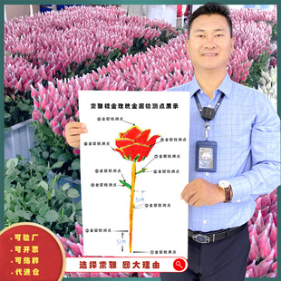 �羳؛Դ���Ứ �r�����նY��ĸ�H���YƷ������õ�� ���ŏS��ֱ��