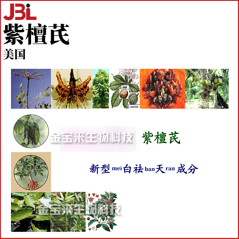 美国 紫檀芪 花榈木树皮提取物 护肤 化妆品原料 50g