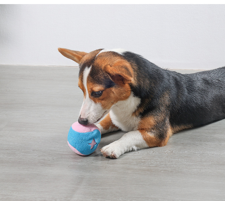 Interactive Snuffle Mat For Dogs Educational Food Dispensing Toy_voghion.com