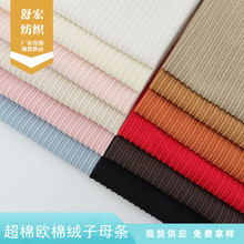 超棉欧棉绒子母条面料 雪尼尔木棉绒阔腿裤布料 靠垫抱枕家纺面料