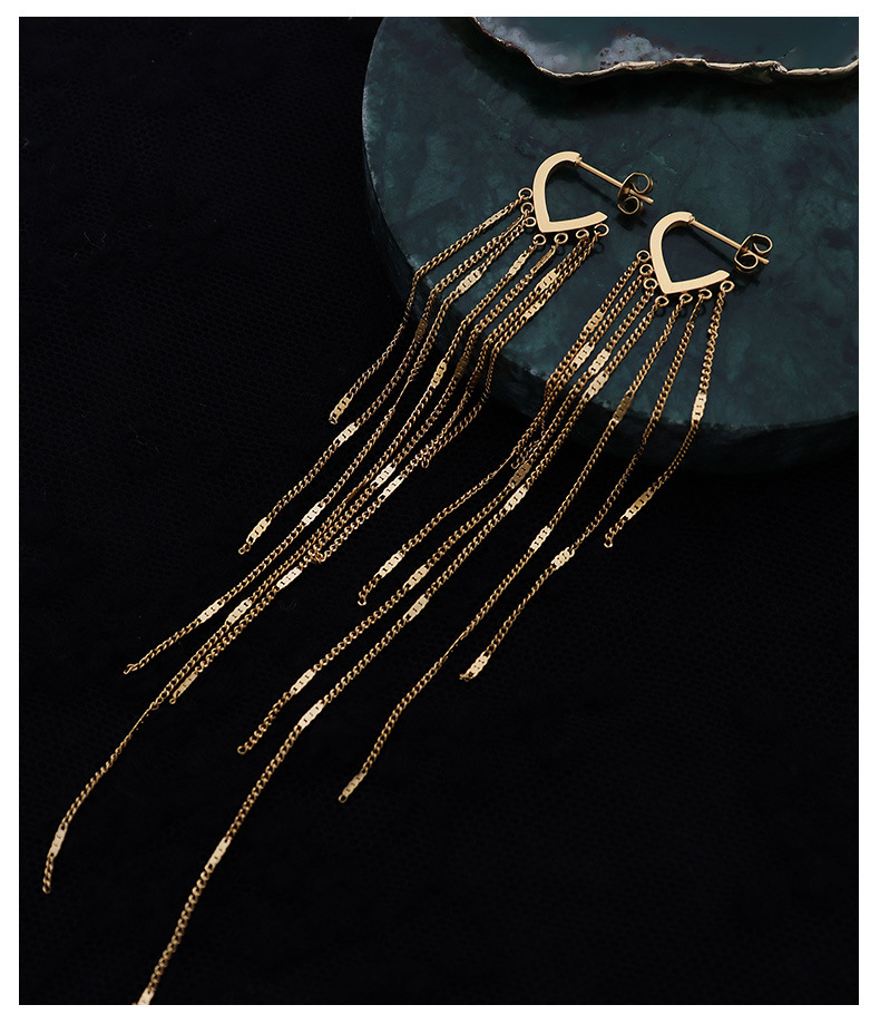 Exaggerated Ins Popular Autumn And Winter Retro Long Tassel Design Earrings Titanium Steel 18k Gold Earrings display picture 5