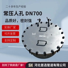 F؛˿׷m F؛̼䓾oй˿ ֱw˿ DN700˿