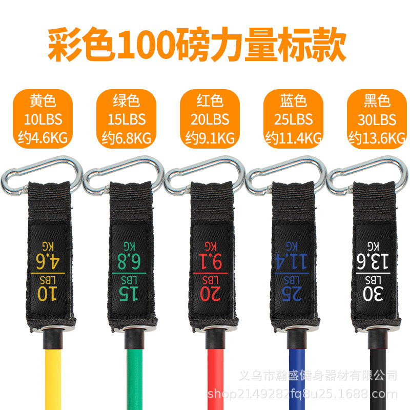 テンションロープセット 11点セット テンショナー TPEテンションバンド フィットネスバンド テンションチューブ ホイスト型カラビナ 弾性|undefined
