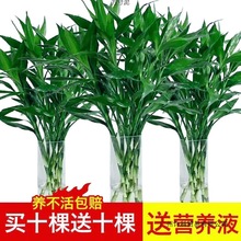 Fˮֲ͏dlˮB҃ȾG}СԻܾGֲl