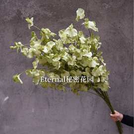 仿真花豌豆花线条香豌豆北欧家居绢花婚庆路引花排跨境批发