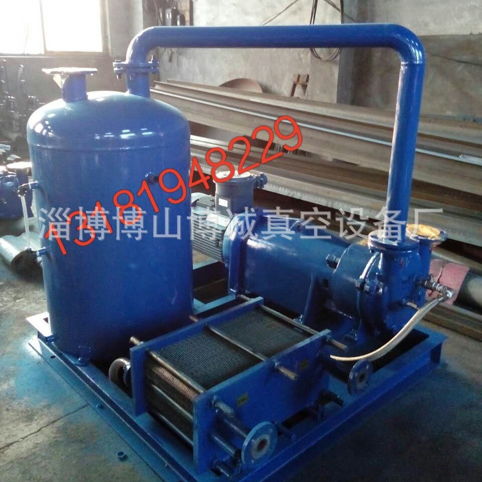 专业生产循环水式真空泵  小型卧式往复真空机组 真空泵