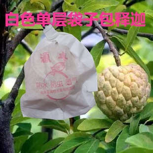 ��ȹ��������״��̹�����֦ه����^�����ռ���ţ�ķ���֦���o��