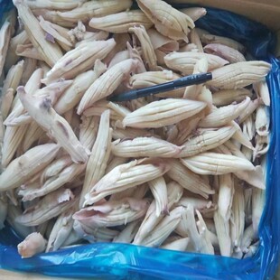 ����S���]��������~�ɱ�10�ﰢ��͢���~���������r��偓�֭ʳ��