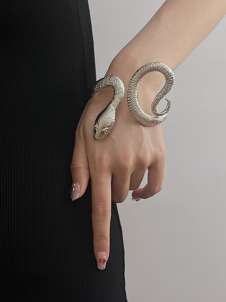 Rétro Serpent Alliage De Gros Bracelet display picture 3