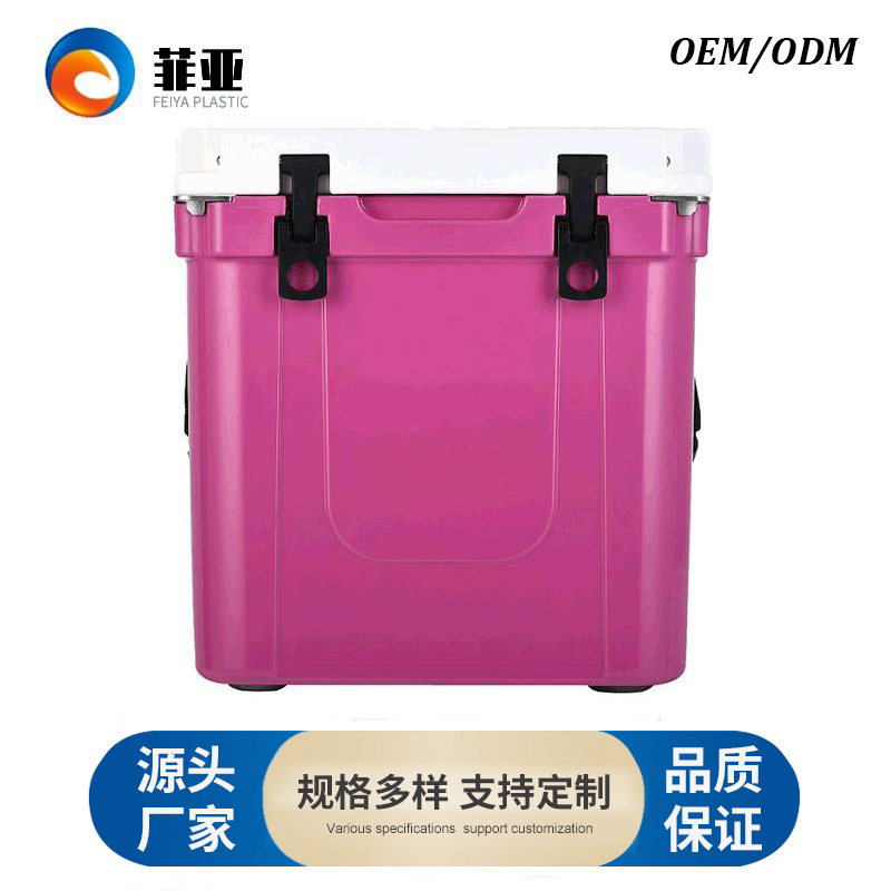 Capacious handheld cooler bag for home use, fruit freezer, custom-made