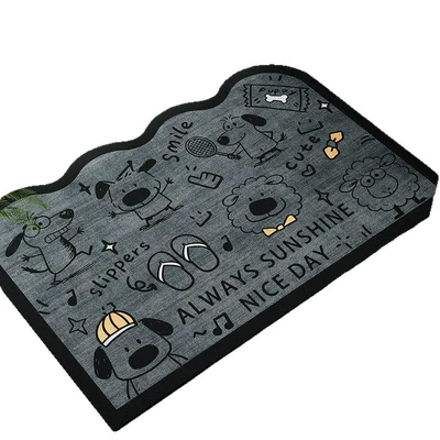Absorbent Mat, Bathroom Door Mat, Avtomobil döşəmə paspasları