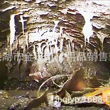 ������ƽ������ͨ��ţ�Cе������ͨ�C�m�÷���