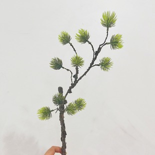 ��� �����֦��� ��֦�����~  ���s��ʽ�辰���ҾƵ��b����