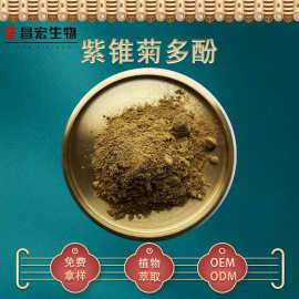 紫锥菊多酚4% 紫锥菊提取物 紫锥菊粉 菊苣酸 厂家货源 现货包邮