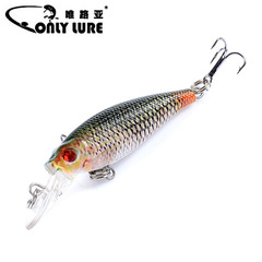 Submersible Luya Bait New Product Painted Series Plastic Hard Bait 6.5cm/5g Bionic Fishing Bait Sea Fishing False Bait Cross-Border Factory