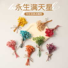 仿真花假花mini满天星干花花束指尖小花束室内装饰批发伴手礼跨境