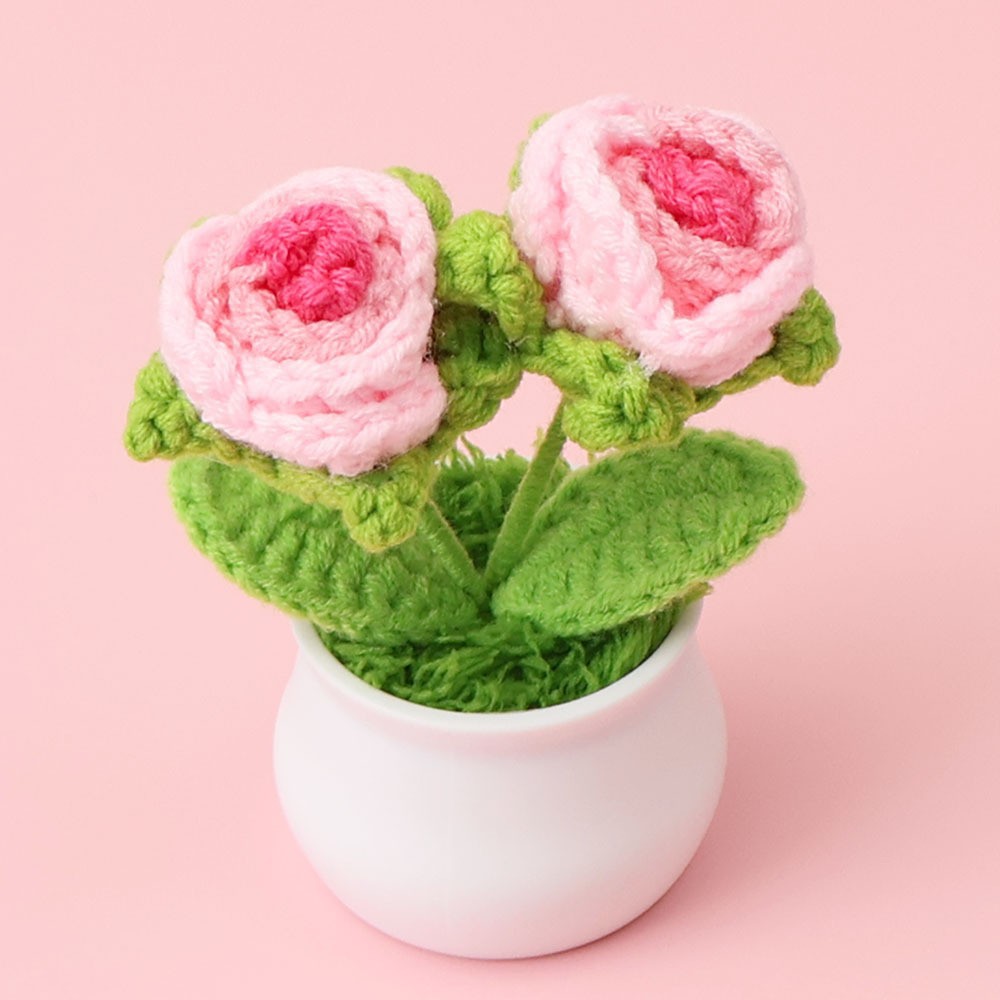 Polvo degradado - 2 macetas de rosas de burbuja (maceta blanca)