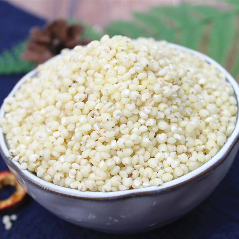 Sorghum Rice 500g Gao Liang Mi Whole Grain for Congee Porridge and Cooking quality and texture