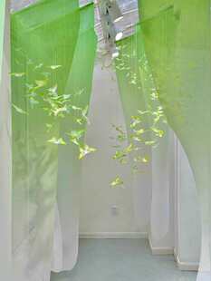 �׃��@����h���������ò������w�Gɫ������������БҒ��b�