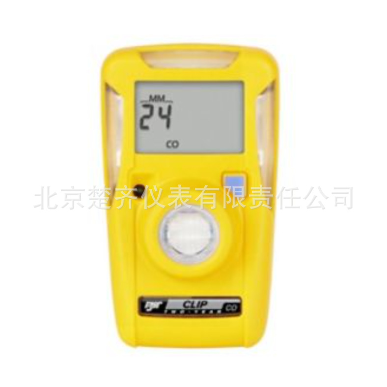 BW便携式硫化氢检测仪 GAXT-H-DL 硫化氢检测仪 加拿大气体检测仪