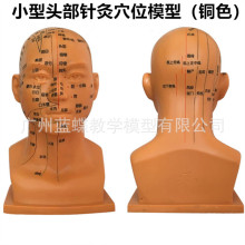 20CM人体头部四功能腧穴模型面部按摩模型头中医针灸穴位模型教学