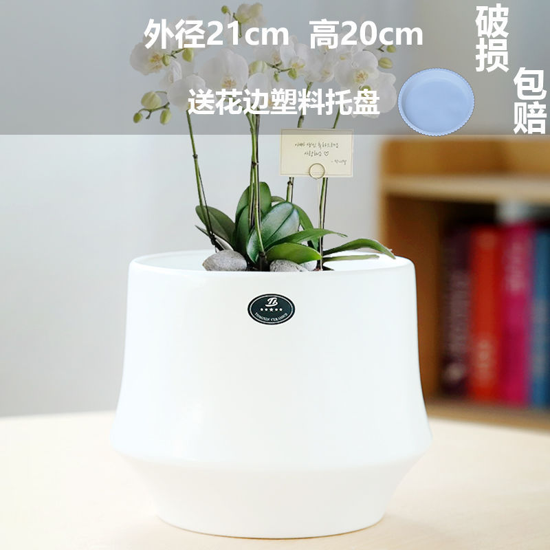 Extra large cloud matte white