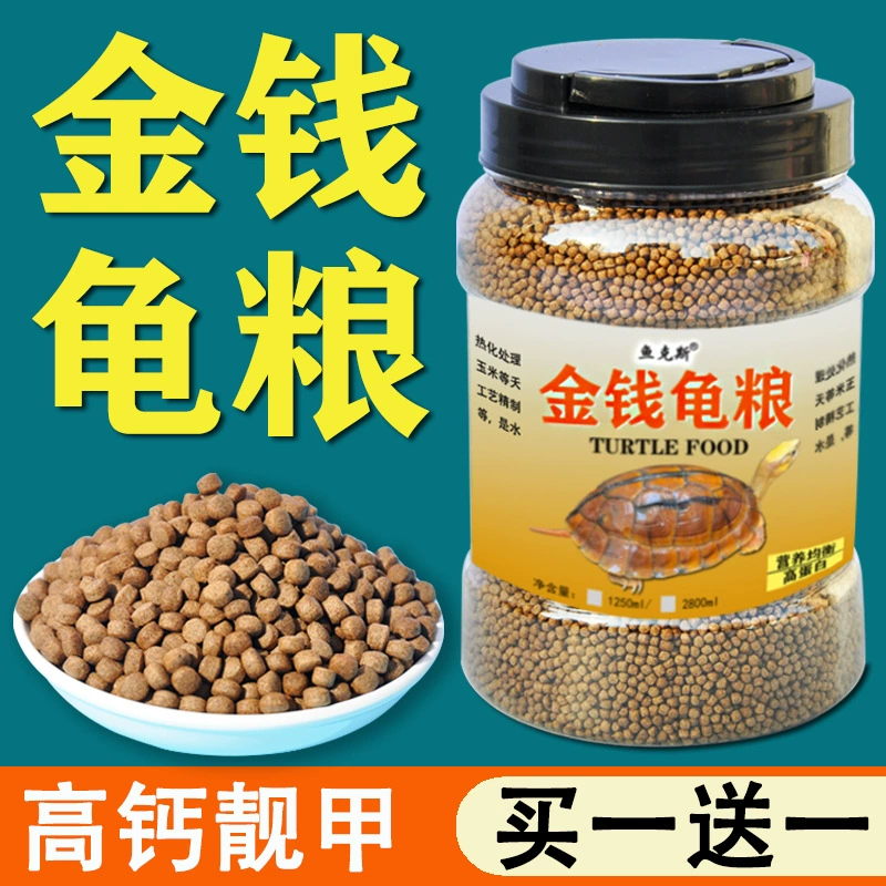 Черепаха еда деньги черепаха корм Южный камень Черепаха корм еда камень Черепаха деньги черепаха корм молодая черепаха открытая еда