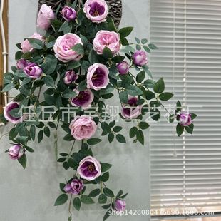 ��������b�����ֲ��젝�ٻ����ڠ��ϵ��m���@�����ڒ컨��õ��