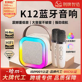 定制K12蓝牙音箱一体机卡拉便携唱歌迷你无线音响K歌立体声