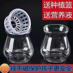 创意高透明室内防摔塑料水培器皿种植篮使用说明一个控根容器