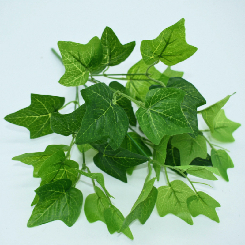 メーカー直販シミュレーション植物プラスチック造花植物壁配材ゴム手触り葉亀背葉緑羅|undefined