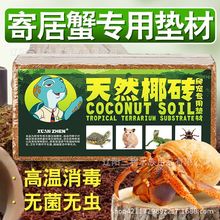 寄居蟹专用椰土苔藓海沙爬宠垫料椰糠砖爬宠螃蟹垫材饲养全套用品