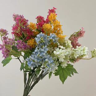 ��c��ɫ�ָж��㻨�ķ��滨������Y�õ���쾰�bzӰ���߲廨